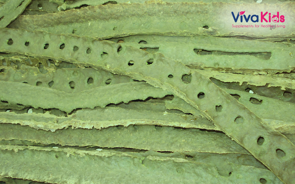 keo-ong-xanh-brazil Keo Ong Xanh Brazil