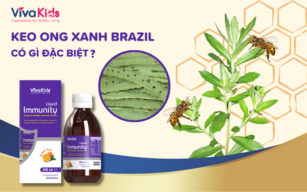 keo-ong-xanh-immunity-1 Keo Ong Xanh Immunity