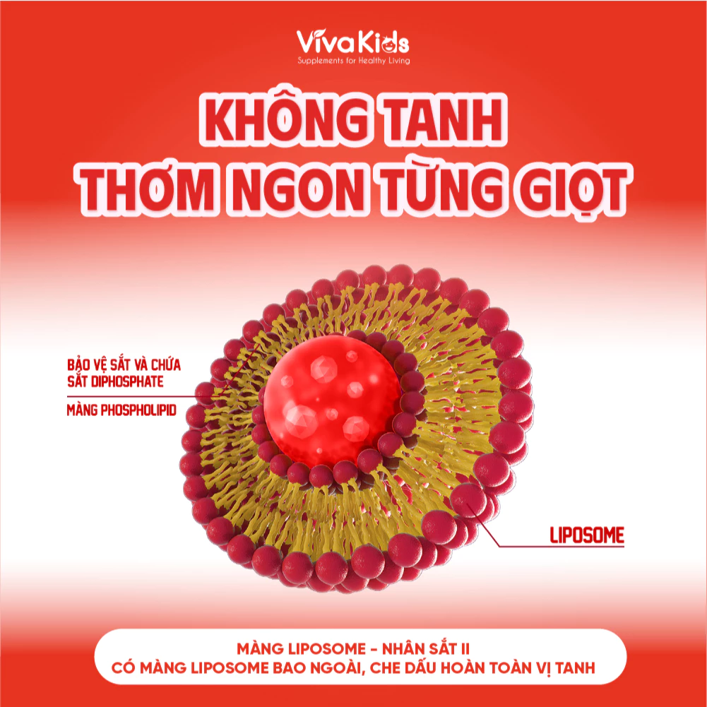 vn-11134207-7ras8-m1m9xfcjo4vzf6